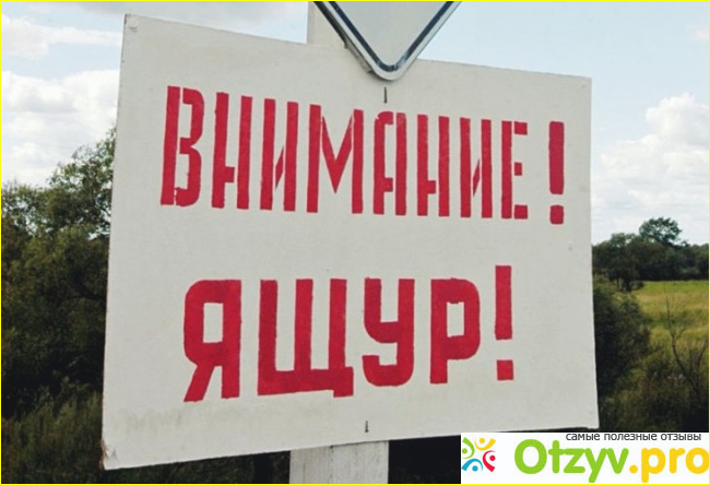 4. Выводы