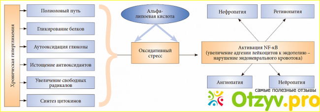 Значение, особенности