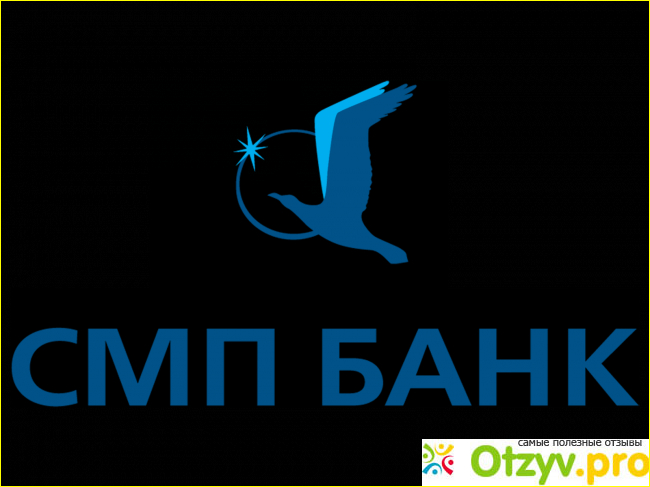 Руководители и владельцы организации: