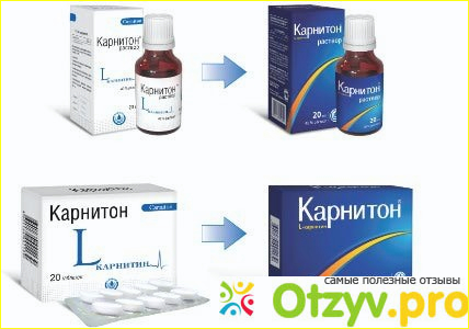 Карнитон действие средства