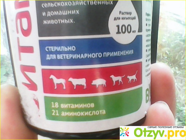 Скорая помощь при отравлении