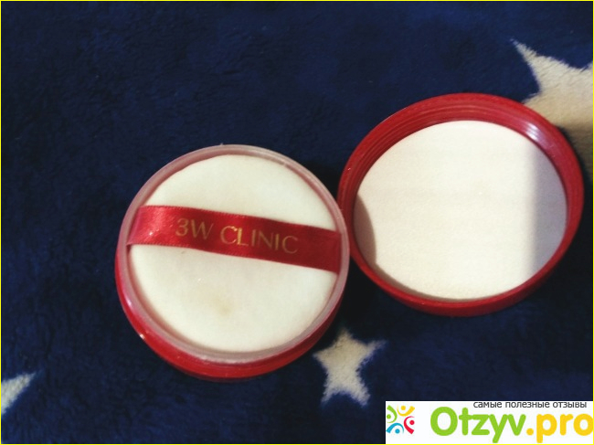 ФИНИШНАЯ ПРОФЕССИОНАЛЬНАЯ РАССЫПЧАТАЯ ПУДРА 3W CLINIC NATURAL MAKE-UP POWDER фото1