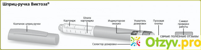 Виктоза отзывы похудение фото1