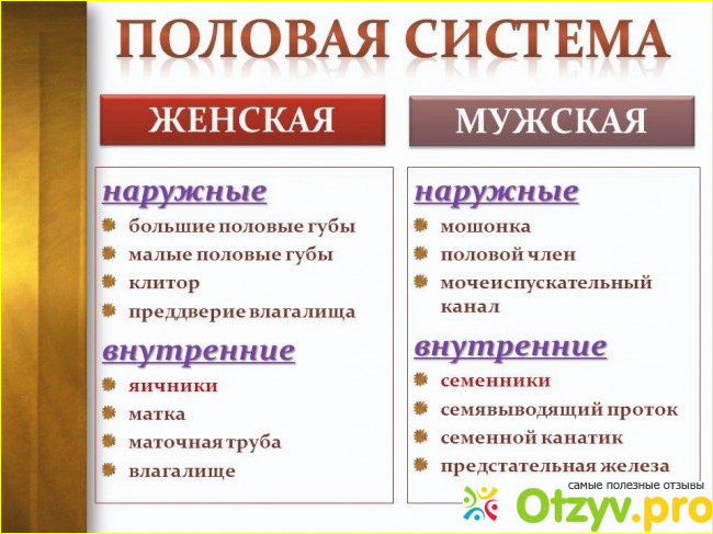 Как свои половые органы после родов воспринимает женщина