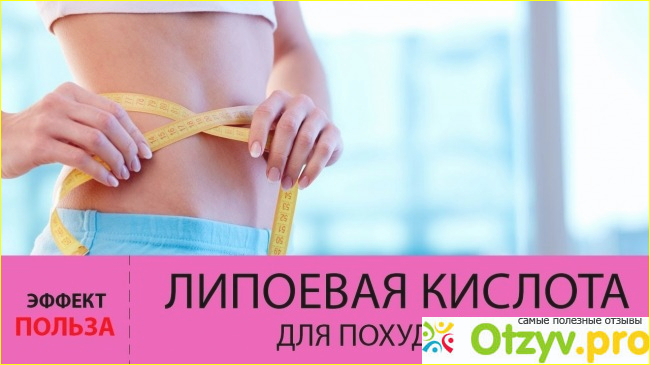 Предисловие. 