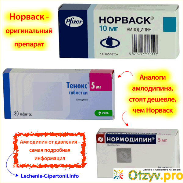 Экватор, характеристика, цена. 