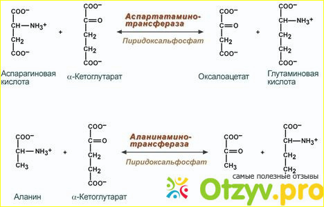 Отклонение от нормы