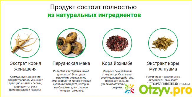 Инструкция