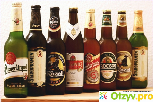 Самые лучшие сорта пива в России, рейтинг 2018 года.