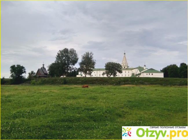 Поездка в суздаль фото2