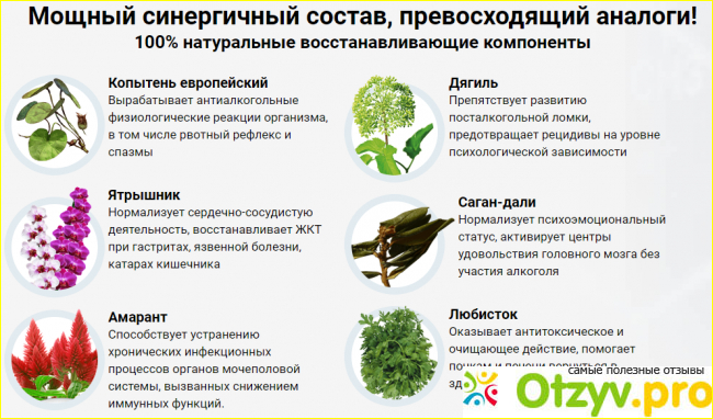 Состав капель от пьянства