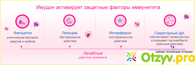 Противопоказания к применению: