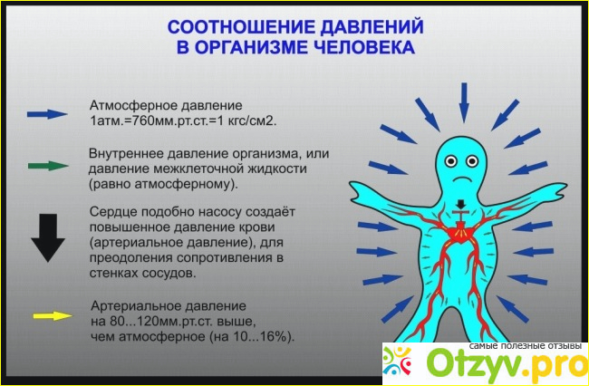 Нормы артериального давления у взрослых: таблица. </p><p>Причины отклонений верхнего и нижнего показателя фото1