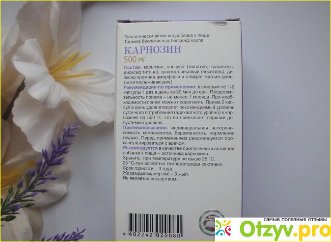 Карнозин инструкция. Карнозин Эвалар внапог. Карнозин Эвалар отзывы реальные врачей и покупателей. Как принимать карнозин в капсулах взрослым.