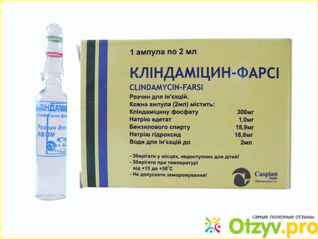 Клиндамицин: инструкция по применению, цена, отзывы, аналоги таблеток Клиндамицин фото2