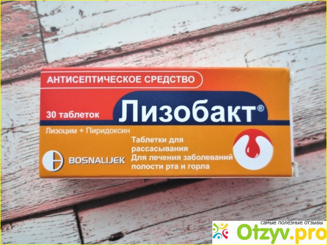 Вывод и рекомендации. 