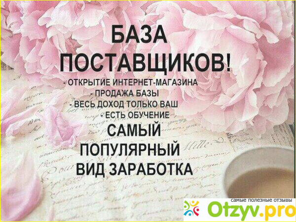 Отзыв о Интернет работа "База поставщиков"