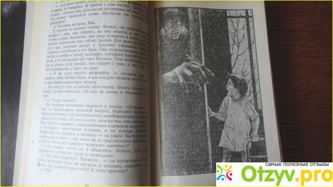 Отзыв о Стивен Кинг. "Куджо".