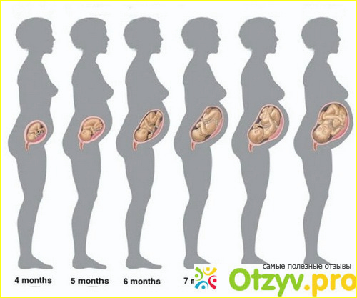 Какой нормальный вес плода в 32 недели беременности фото2