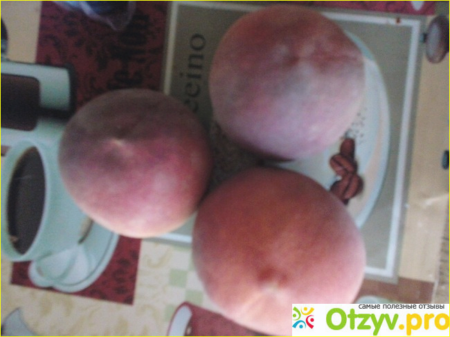 Результат