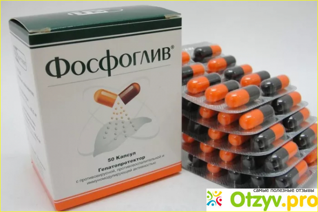 Фосфоглив инструкция по применению отзывы фото2