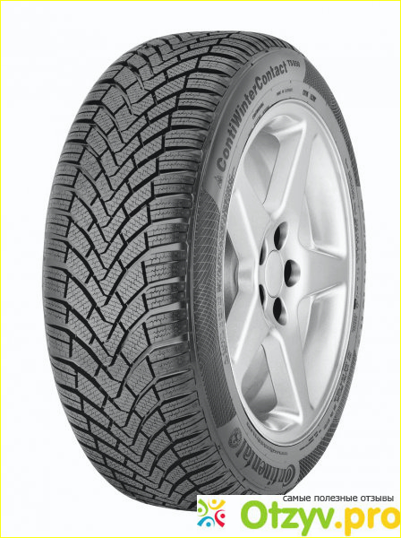 SpWinter Sport5 Dunlop