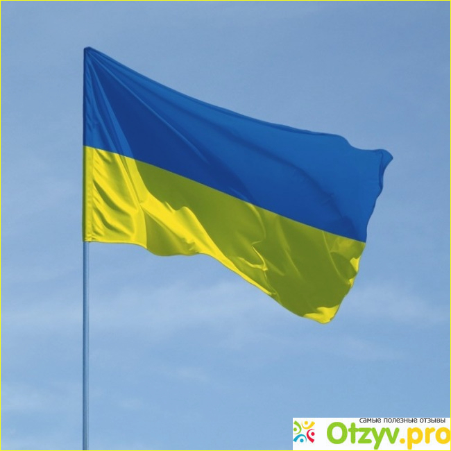 Отзыв о Выборы президента украины рейтинг кандидатов