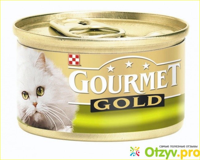 1) Orijen Dry Adult Cat and Kitten Food