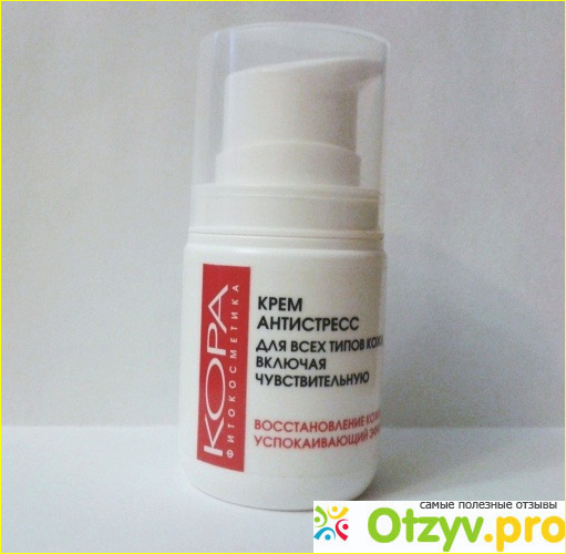 Mizon All In One Snail Repair Cream