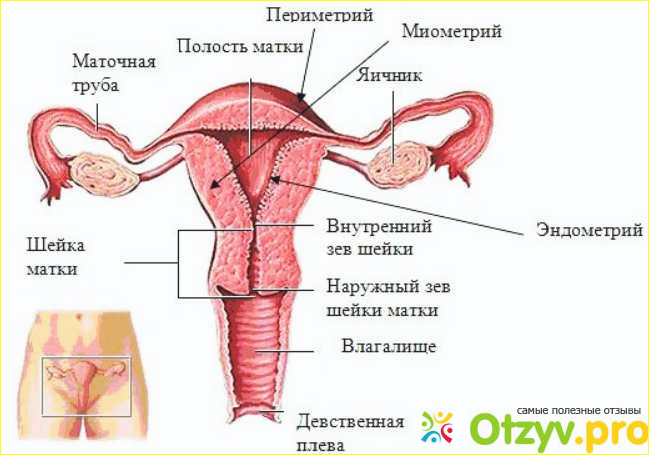 После удаления матки отзывы женщин фото2