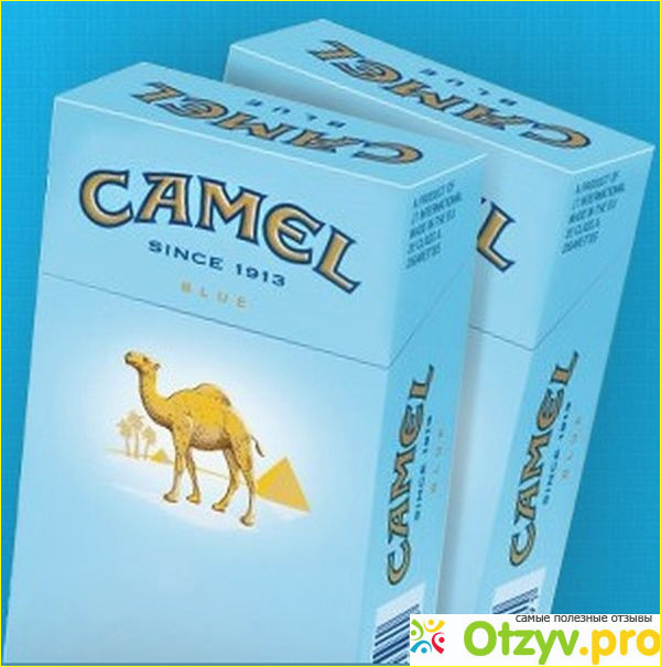 Кэмел саншайн. Сигареты Camel Compact. Сигареты Camel Blue. Кэмел синий 100. Camel Compact Blue.