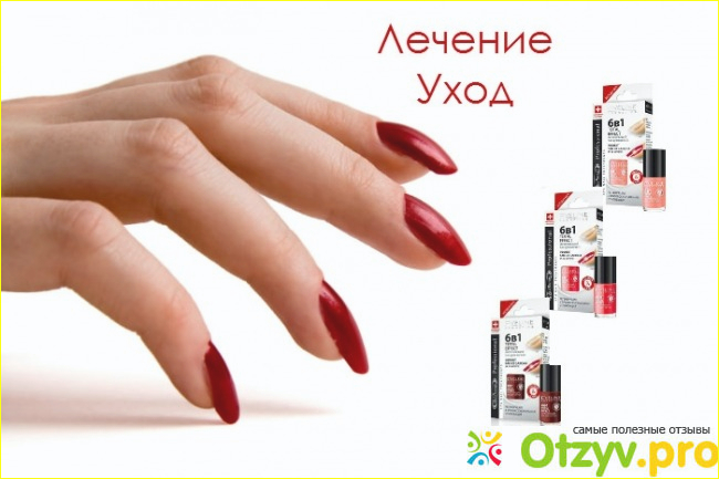 1. Эвелин Nyc