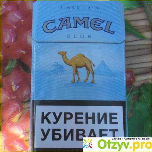 Camel blue фото1