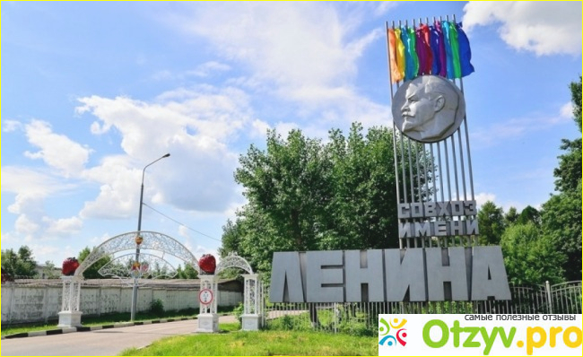 Отзывы о работе в совхозе на сборке клубники.