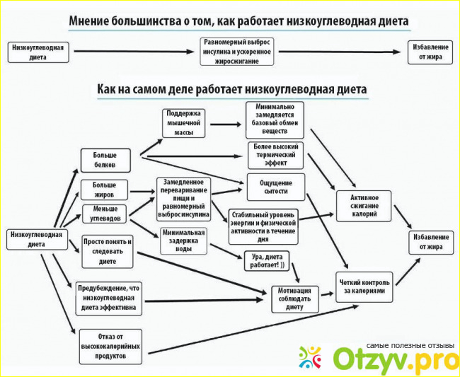 Низкоуглеводная диета. Описание. 