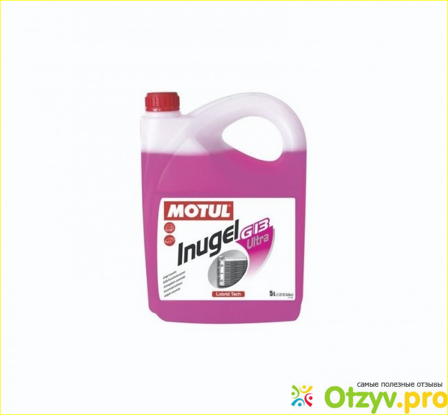 Motul inugel Expert.