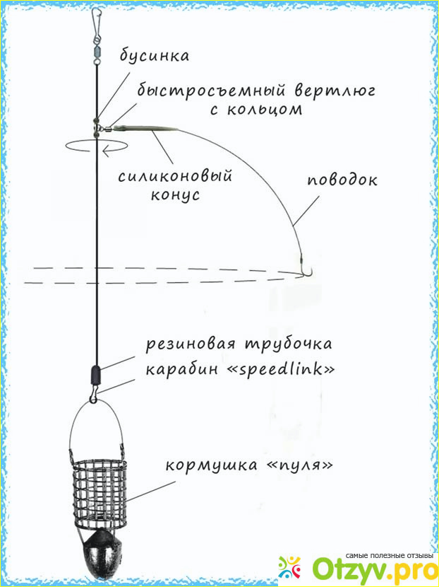 Английская донка фото1