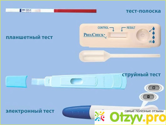 Выбор теста на определение беременности