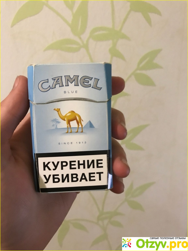 Отзыв о Camel blue