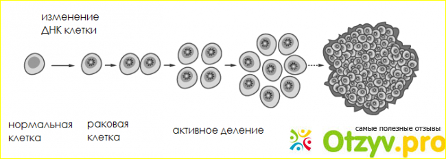 Результаты онкоцитологии