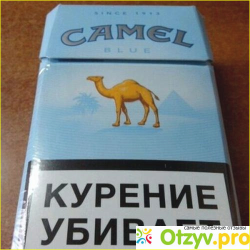 Camel blue фото2