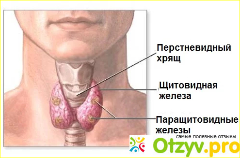 Какие нужно сдать анализы для того, чтобы поставить диагноз