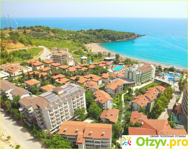 Отклики.