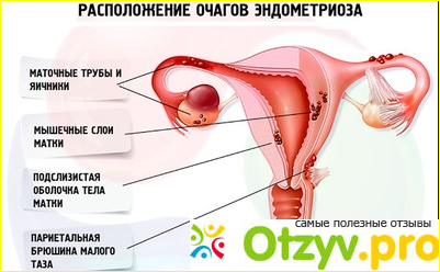 Что может Вам предложить сеть Нова Клиник