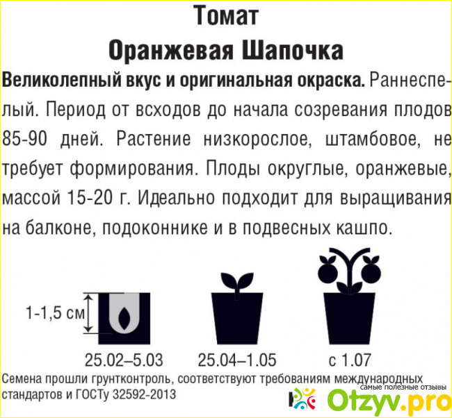 Семена четыре лета томат Оранжевая шапочка фото1