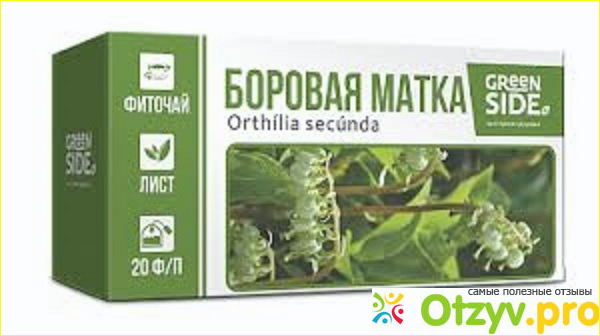 Отзыв о Боровая матка