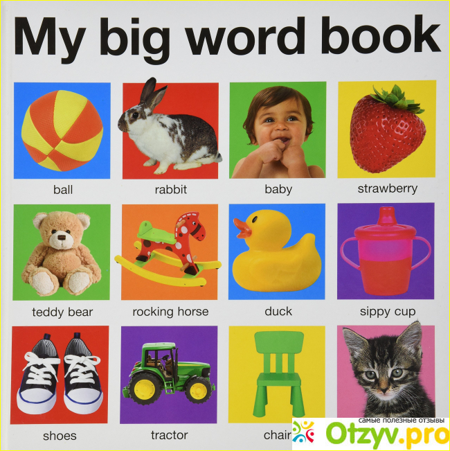 Отзыв о Детская книга My Big World Book Роджера Придди