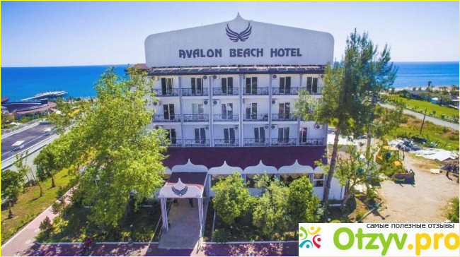 Отзывы Avalon beach hotel.