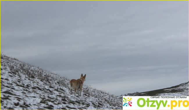 Юг Сибири. Обворожительная осень. фото2