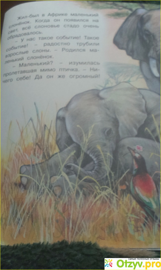 Отзыв о Книга  Приключения слонёнка
